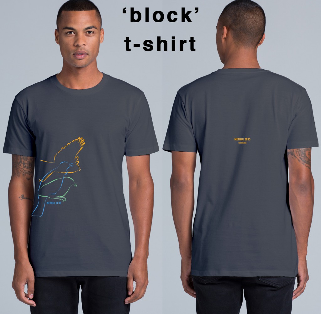 NetHui 2015 t-shirt - block design